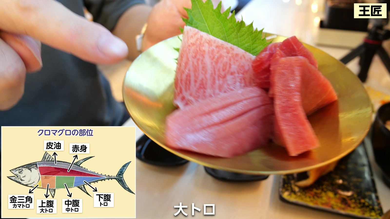 赤身・中トロ・大トロ・カマトロの刺身
