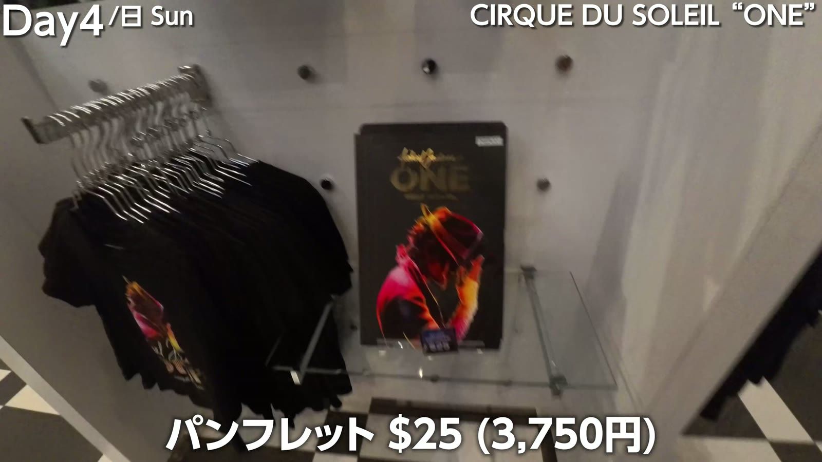 シルク・ドゥ・ソレイユ "ONE"。パンフレットは$25（3,750円）