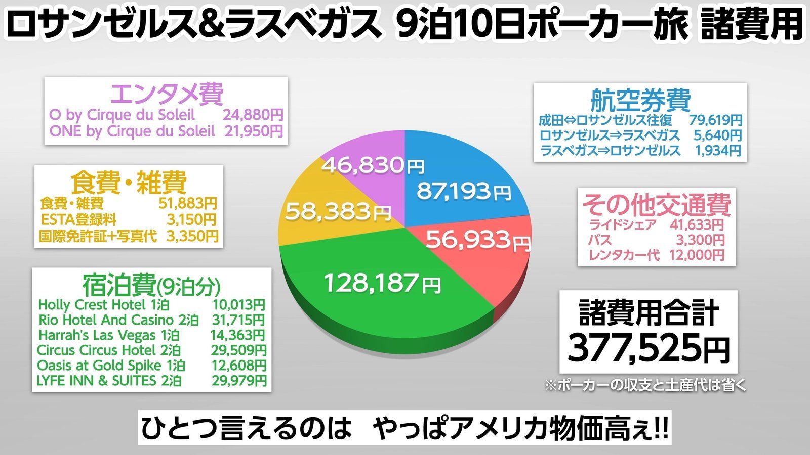 9泊10日の諸費用の内訳。合計377,525円
